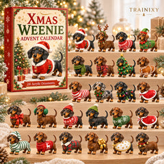2026 Dachshund Christmas Advent Calendar – 24 Days Holiday Countdown with Ornaments