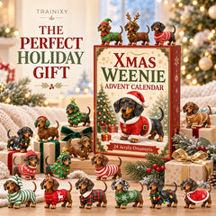 2026 Dachshund Christmas Advent Calendar – 24 Days Holiday Countdown with Ornaments