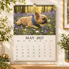 2027 French Bulldog Wall Calendar: Funny Frenchie Moments