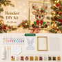Reindeer DIY Kit